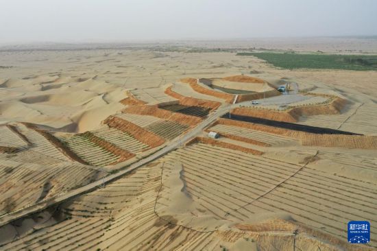 這是在新疆和田地區(qū)于田縣拍攝的闐東防沙治沙綜合示范區(qū)（6月15日攝，無人機照片）。新華社記者 丁磊 攝